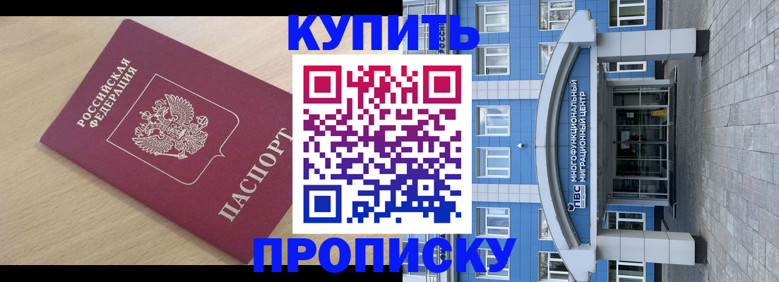 временная регистрация для всех в Заинске
